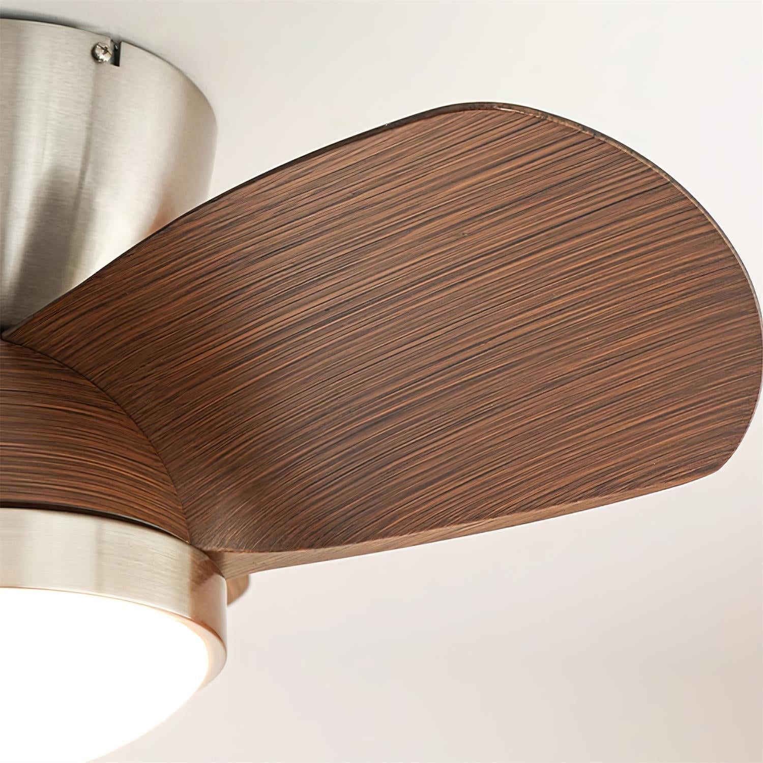Plafonnier Ventilateur Ventra Moderne en Bois