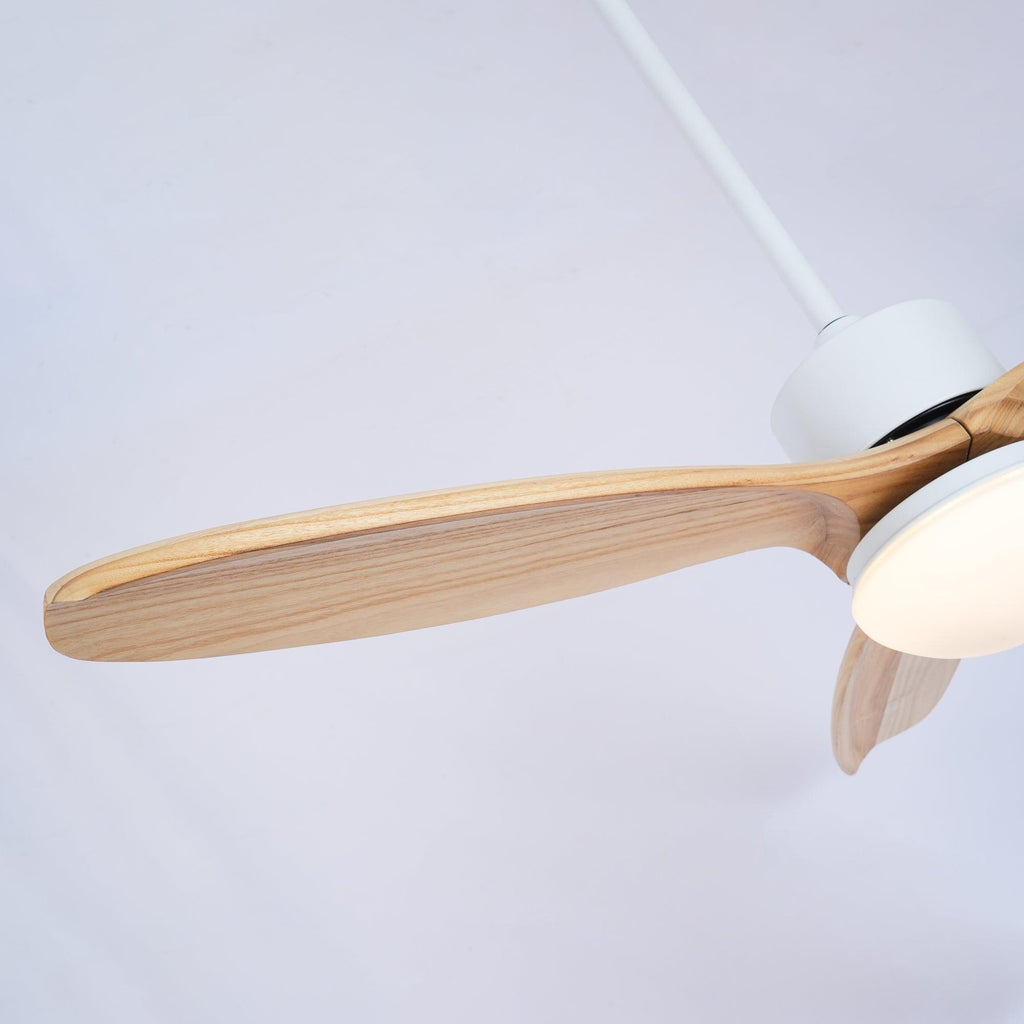 Ventilateur de Plafond Luminaire Brivel Élégance Naturelle