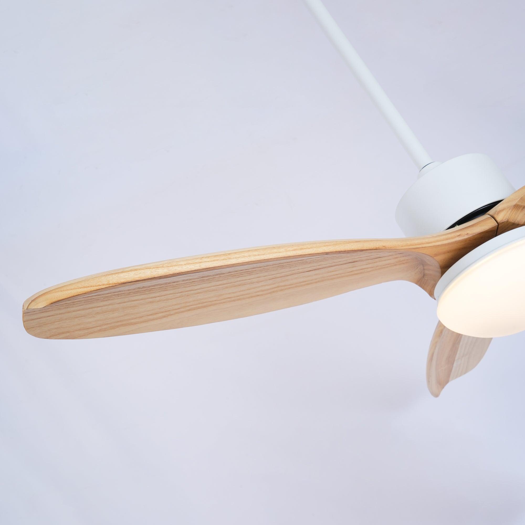 Ventilateur de Plafond Luminaire Brivel Élégance Naturelle