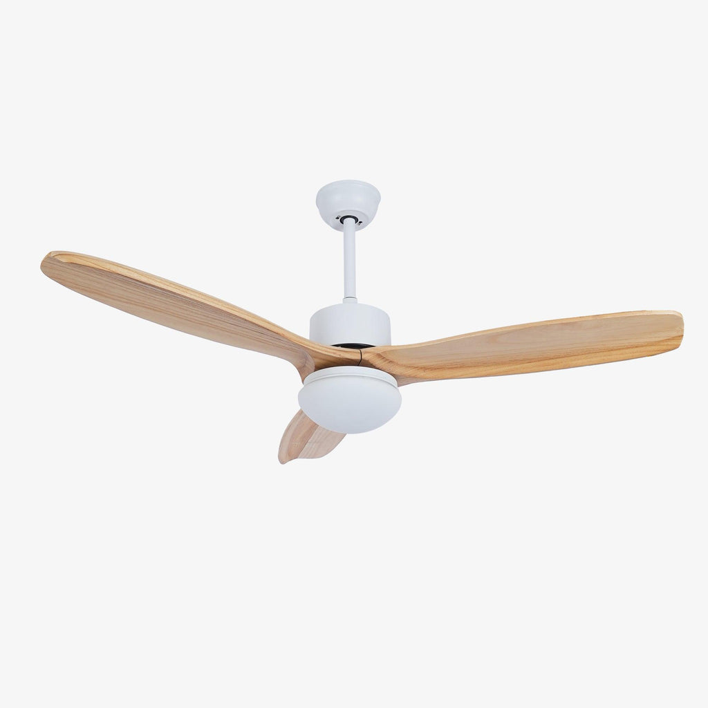 Ventilateur de Plafond Luminaire Brivel Élégance Naturelle
