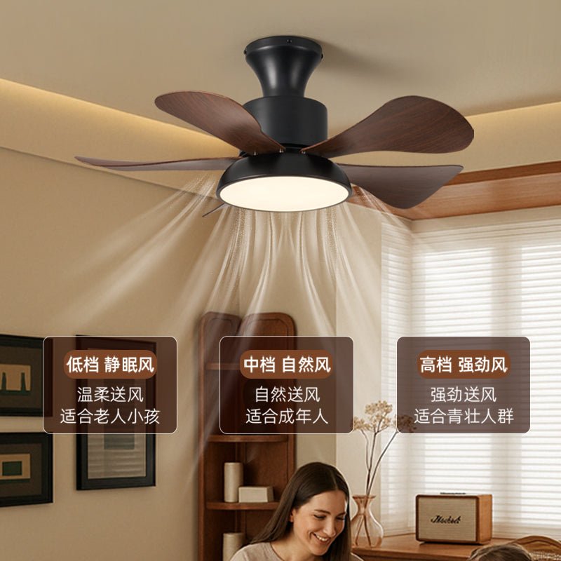 Ventilateur de Plafond Archer