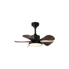 Ventilateur de Plafond Archer
