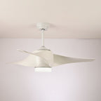 Ventilateur de plafond Umber avec lumière