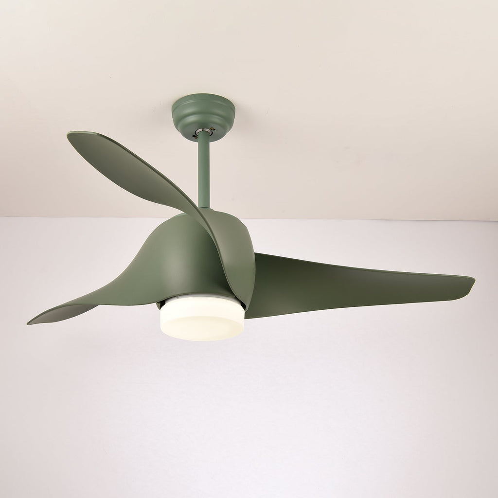Ventilateur de plafond Umber avec lumière