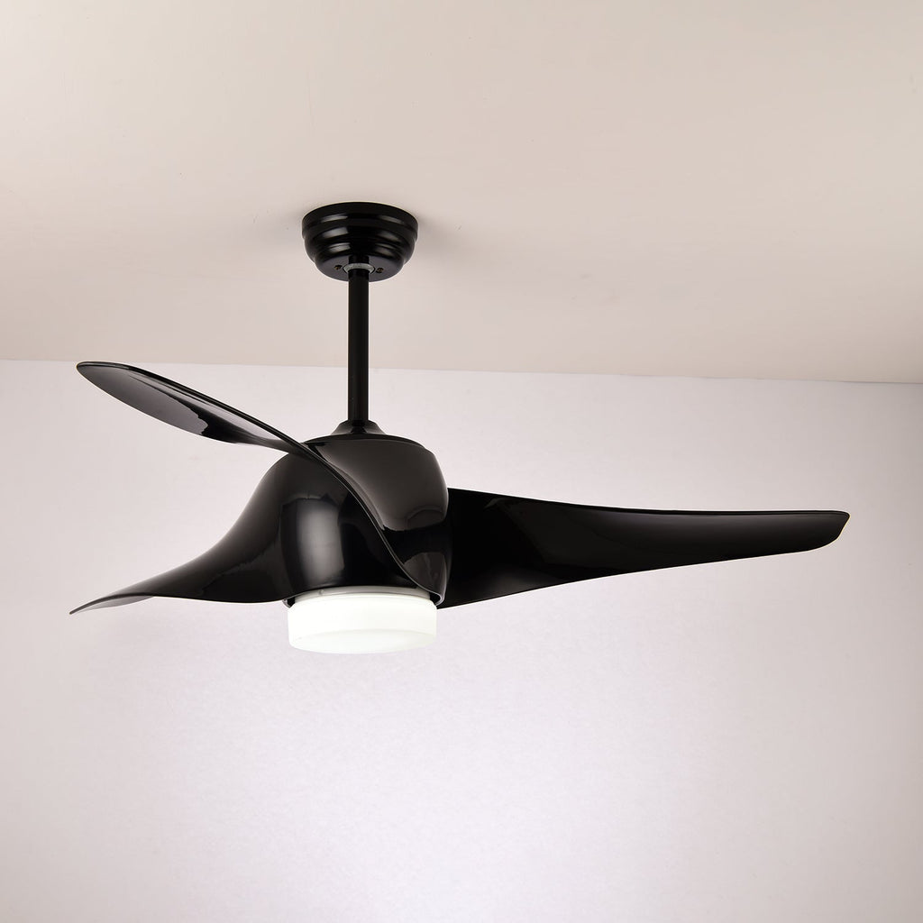 Ventilateur de plafond Umber avec lumière