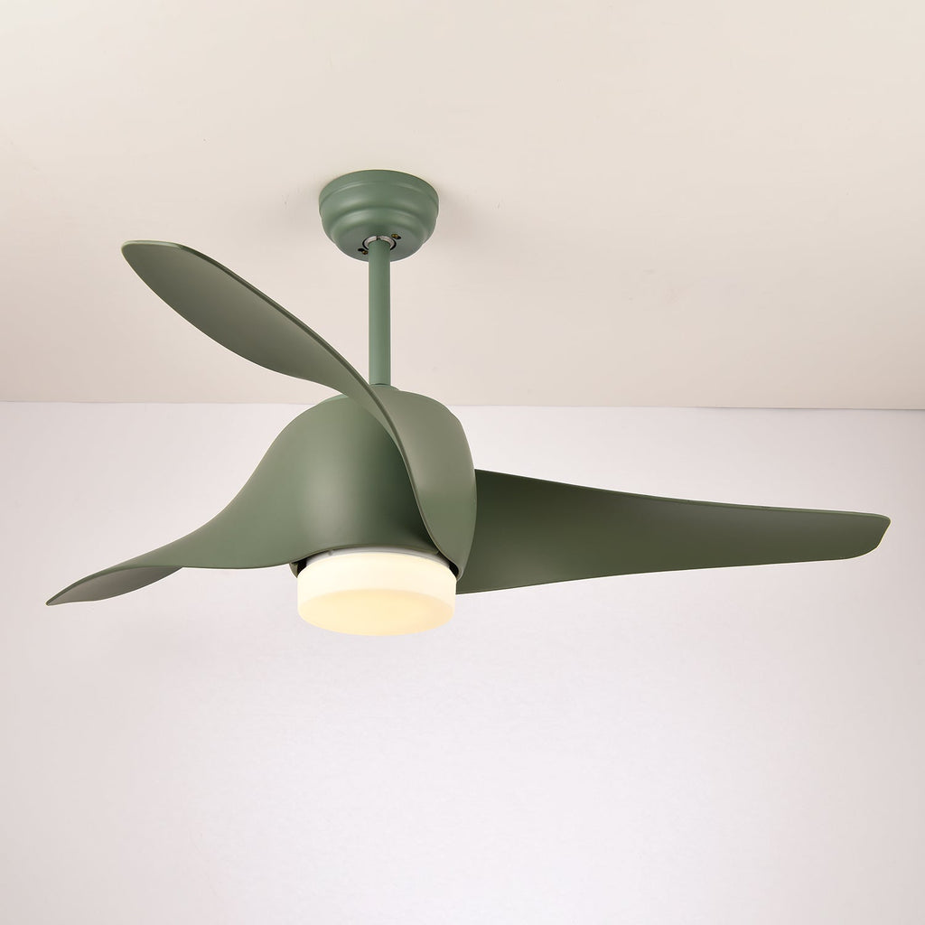 Ventilateur de plafond Umber avec lumière
