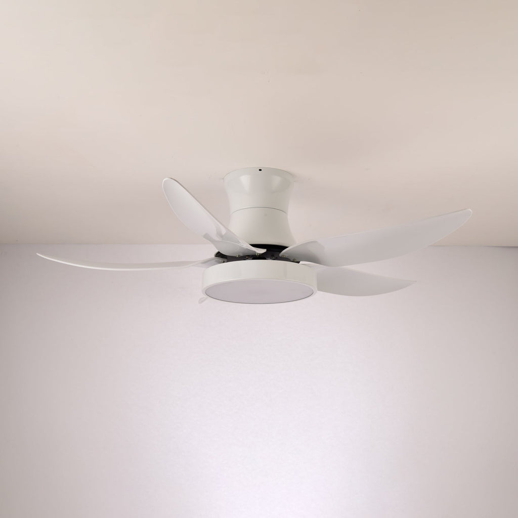 Plafonnier Ventilateur Jada Noir Moderne