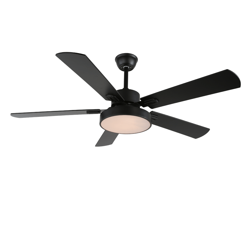 Ventilateur de Plafond Moderne Aerilux en Bois avec Lumière